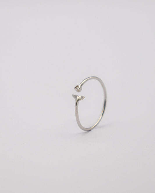 Anillo Ballena