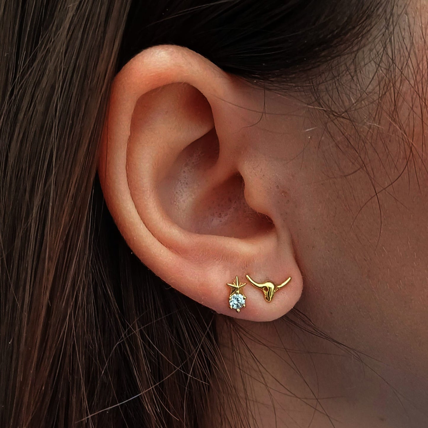 Pendientes Mini Hepática